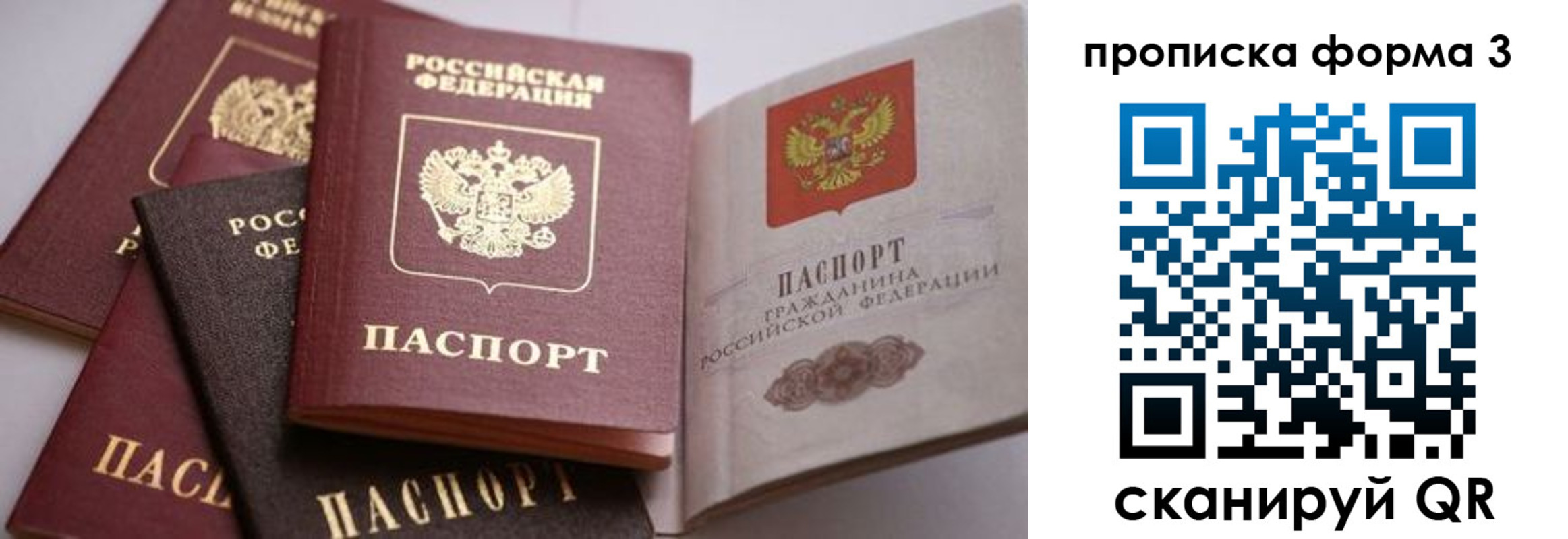 прописка для школы в Ликино-Дулёво